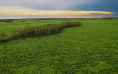 Urge una mejor gestión del agua y el territorio en el Chaco boliviano