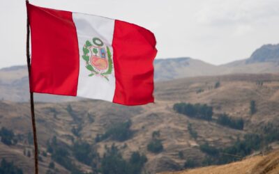 ONGs en Perú bajo la lupa