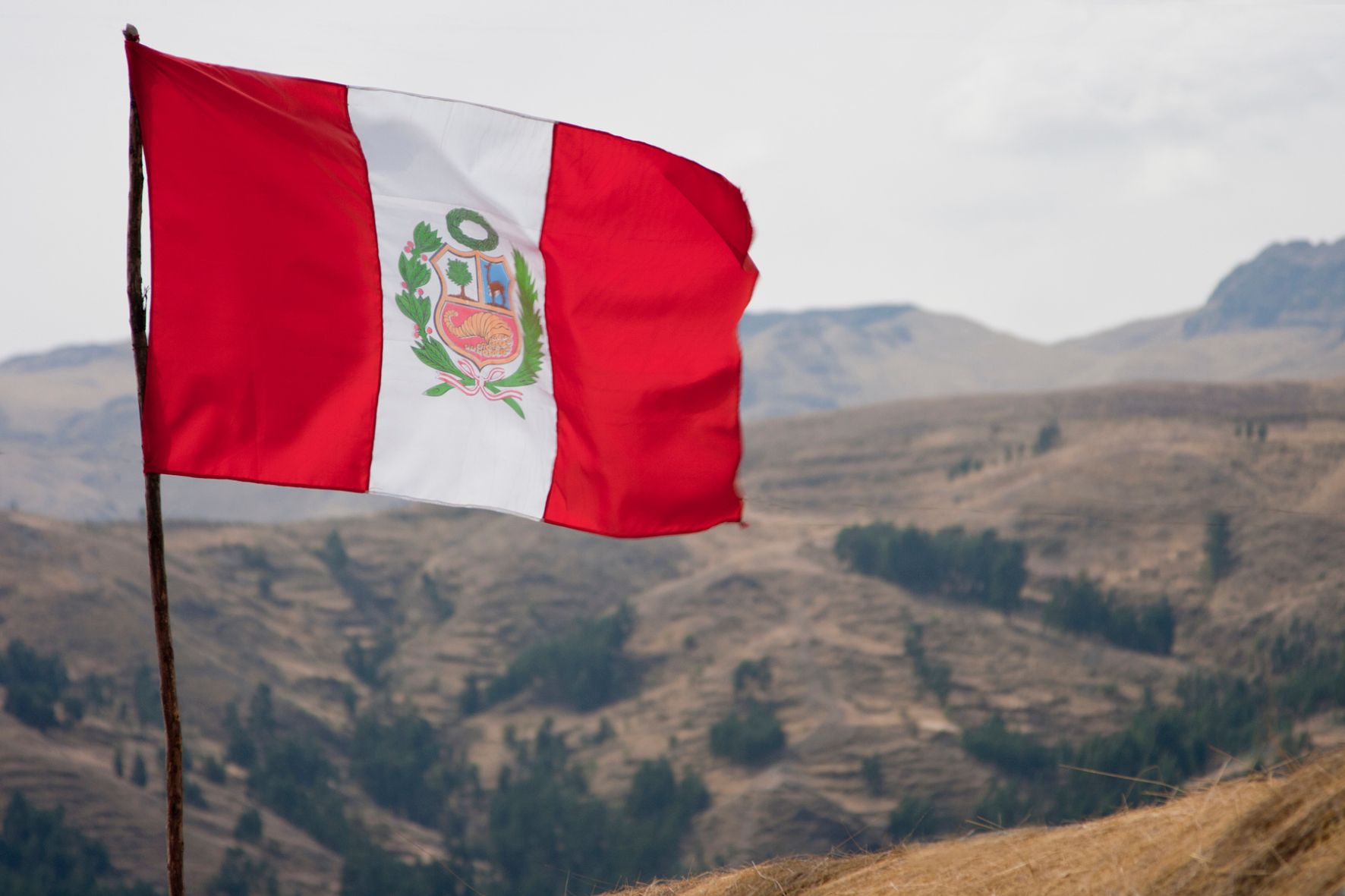 bandera Perú - Canva bandera Perú - Canva