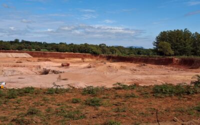 Vidal Brítez: La Lucha de un yerbatero por la tierra y la vida en Paso Yobai