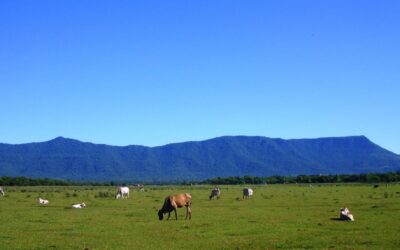 Eugenio A. Garay: Un futuro ecológico y turístico en el corazón de Ybyturuzú
