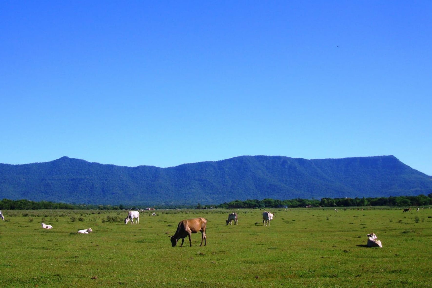 Cerro Tres Kandú Paraguay Cerro Tres Kandú Paraguay