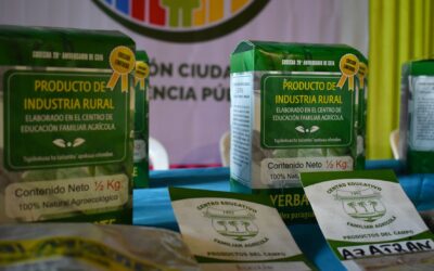 Yerba mate natural y sostenible: el orgullo de los jóvenes de CEFA