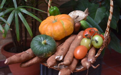 “Cuidar la semilla es cuidar la vida”: llega la Feria Nacional de Semillas Nativas y Criollas