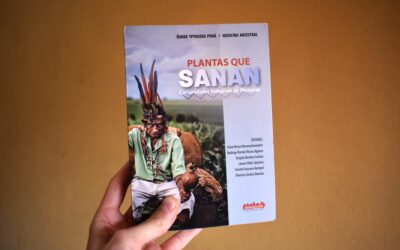 «Plantas que sanan»: la sabiduría ancestral de los pueblos indígenas del Paraguay