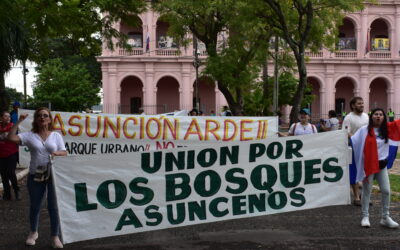 «El bosque tiene memoria»: Rosa Vacchetta y el reclamo vecinal por el Bosque de San Vicente
