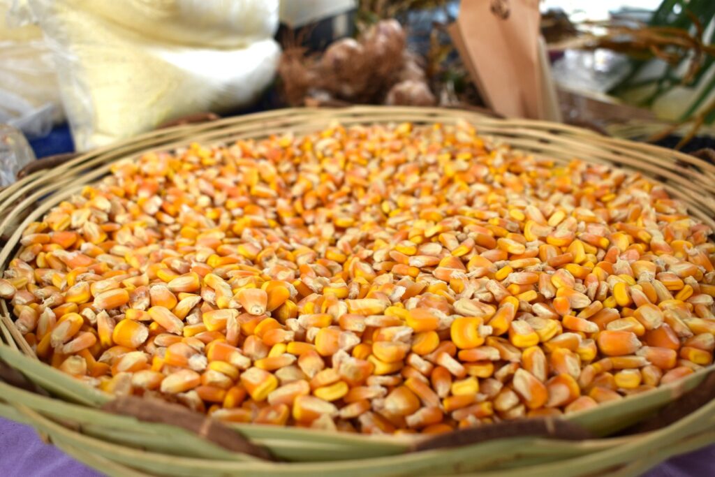 Feria de Semillas Criollas y Nativas - Radio Fe y Alegría 1300 AM - c