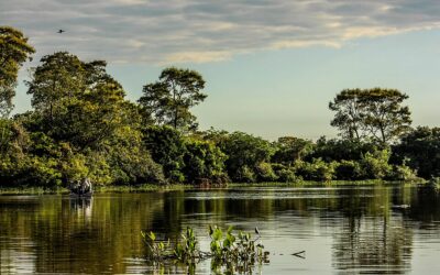 La voz del pueblo Ayoreo: cultura, memoria y desafíos desde Carmelo Peralta
