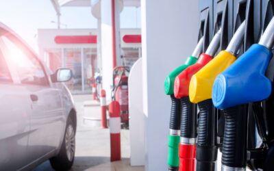 Combustibles, energía y soberanía: advertencias de Mercedes Canese sobre la economía paraguaya