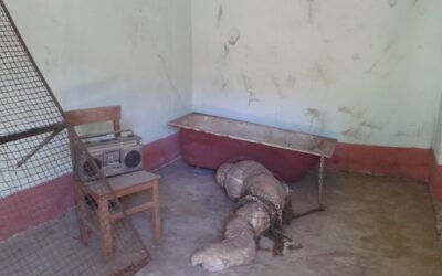 Justicia tardía, pero necesaria: condena a torturadores del régimen stronista